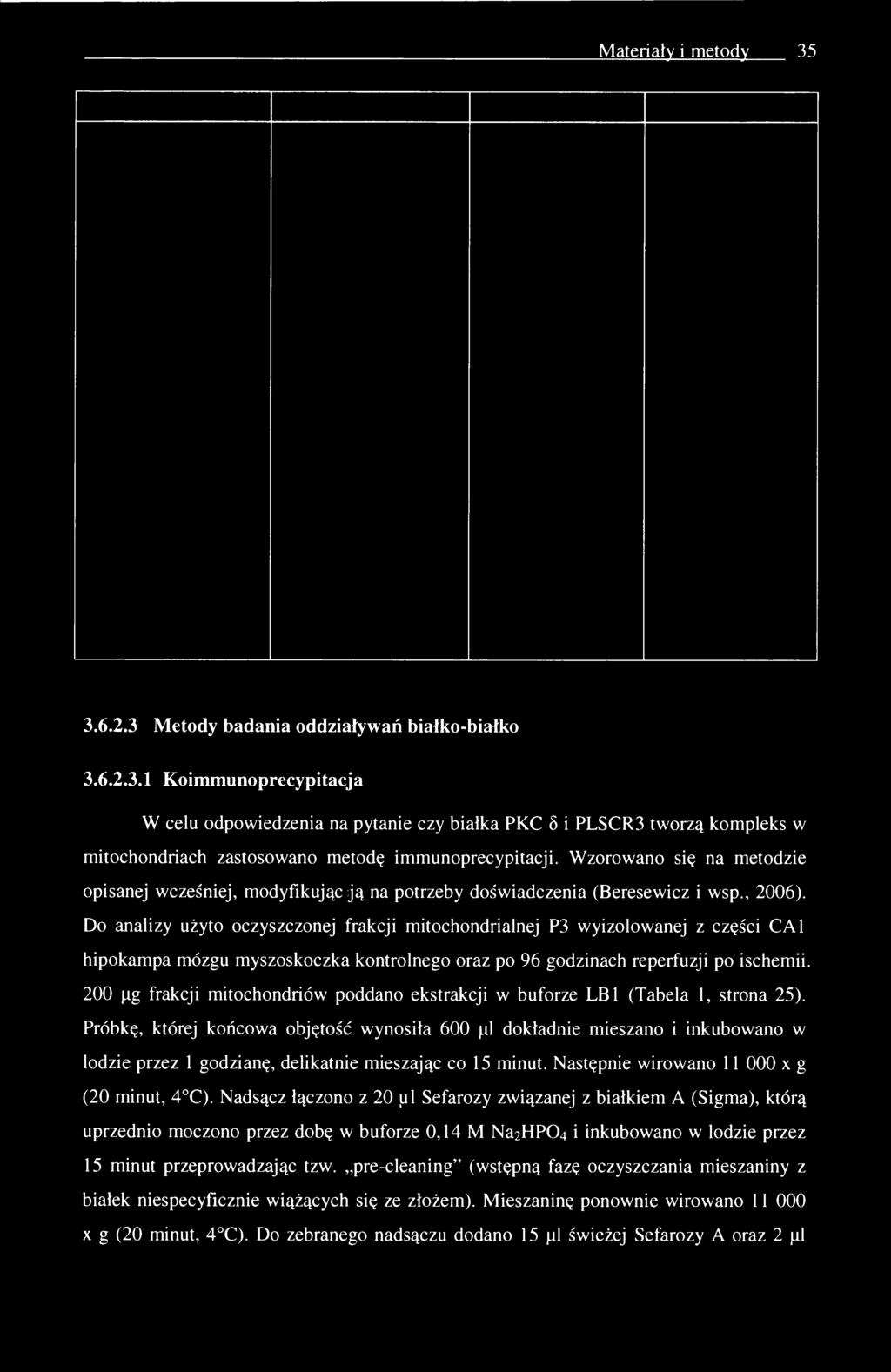 Do analizy użyto oczyszczonej frakcji mitochondrialnej P3 wyizolowanej z części CA1 hipokampa mózgu myszoskoczka kontrolnego oraz po 96 godzinach reperfuzji po ischemii.