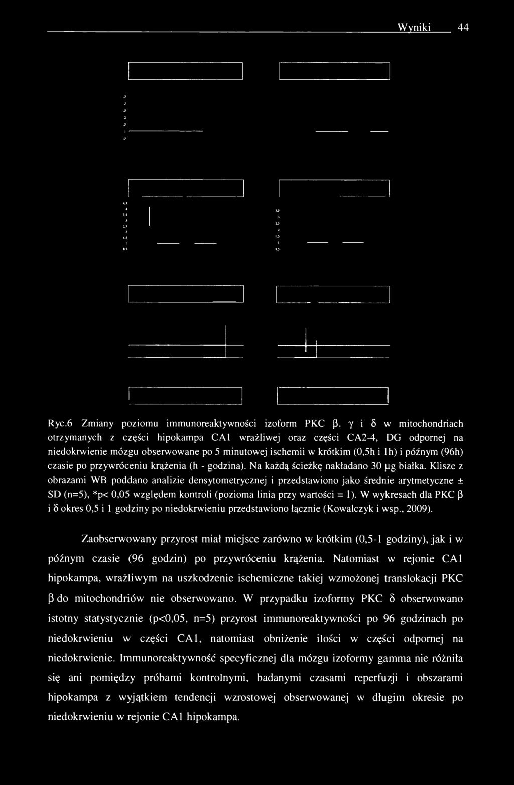 Wyniki 44 Ryc.6 Zmiany poziomu immunoreaktywności izoform PKC (3.