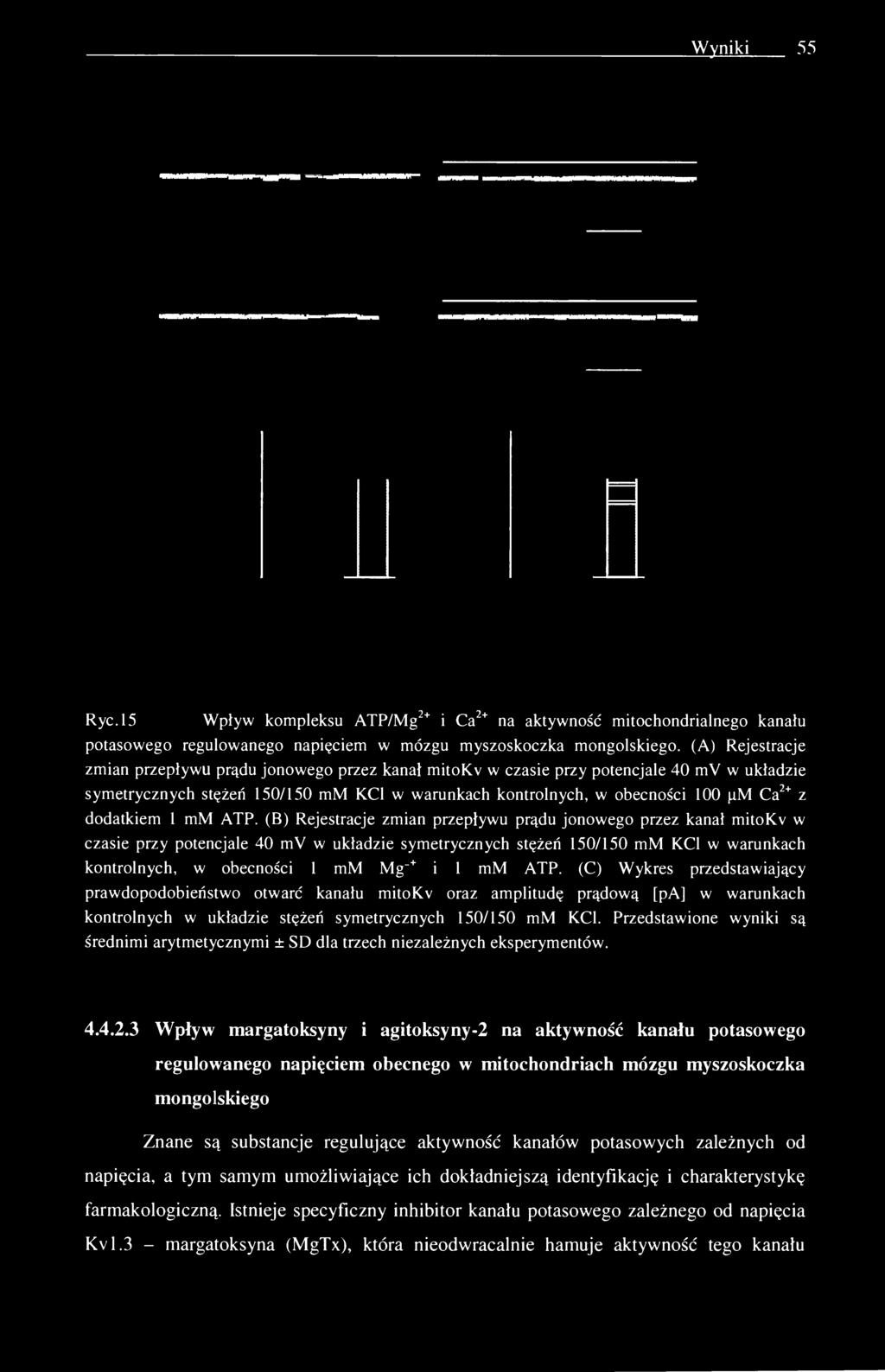 Wyniki 55 Ryc. 15 Wpływ kompleksu ATP/Mg :+ i Ca 2+ na aktywność mitochondrialnego kanału potasowego regulowanego napięciem w mózgu myszoskoczka mongolskiego.