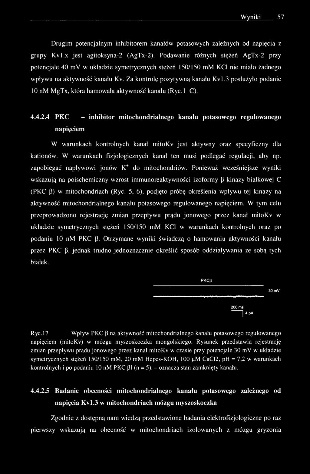 Wyniki 57 Drugim potencjalnym inhibitorem kanałów potasowych zależnych od napięcia z grupy Kvl.x jest agitoksyna-2 (AgTx-2).