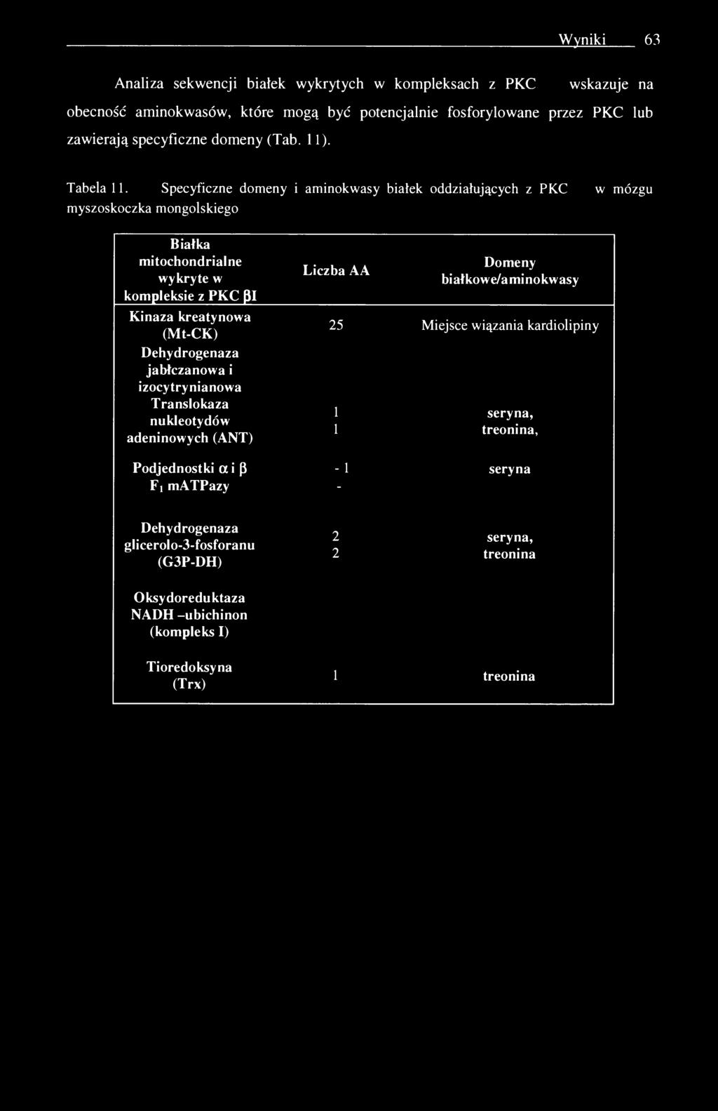 Specyficzne domeny i aminokwasy białek oddziałujących z PKC betai w mózgu myszoskoczka mongolskiego Białka mitochondrialne wykryte w kompleksie z PKC 01 Kinaza kreatynowa (Mt-CK)
