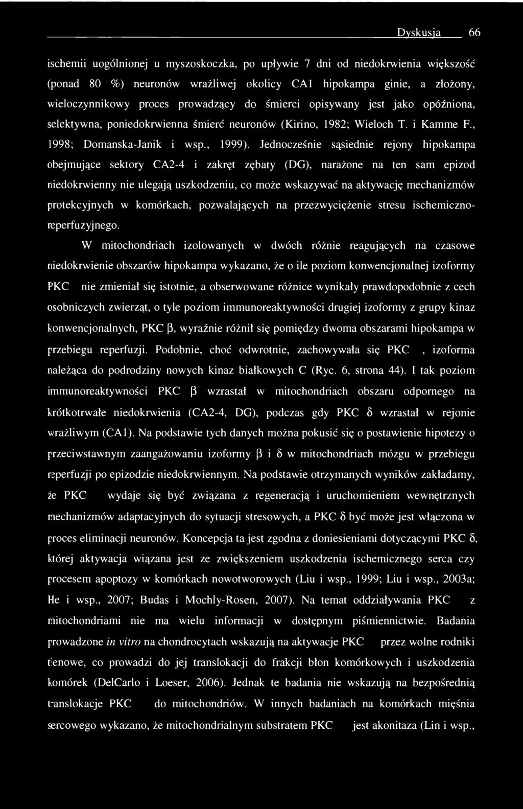 Dyskusja 66 ischemii uogólnionej u myszoskoczka, po upływie 7 dni od niedokrwienia większość (ponad 80 %) neuronów wrażliwej okolicy CA1 hipokampa ginie, a złożony, wieloczynnikowy proces prowadzący