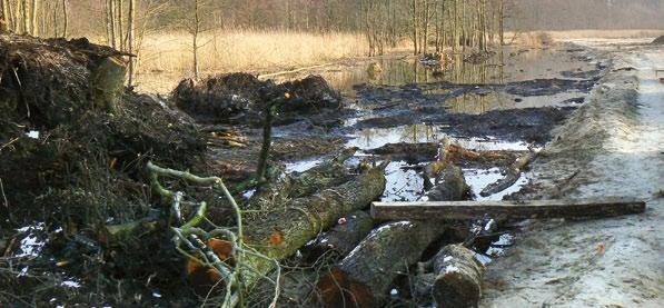 Przykłady realizacji MIĘDZYZDROJE: DROGA PIESZO - ROWEROWA NA SŁABYM PODŁOŻU, NAJAZD NA MOST I KABEL ENERGETYCZNY W ciągu drogi ekspresowej S3, w bardzo ważnym dla ruchu turystycznego węźle