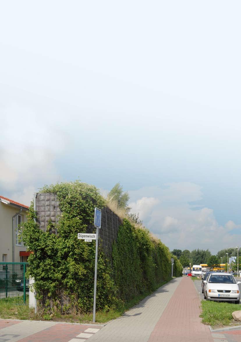 gatunek/odmiana przydatność strona ekranu B/ wystawa gleba sposób wspinania się podpory uwagi Parthenocissus tricuspidata winobluszcz trójklapowy Veitchii * * zewnętrzna zach.płd. wsch.