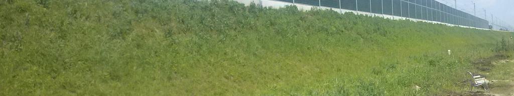 Examples noise barriers with small height have ben shown in [6]. In order to reduce rail noise one can distinguish passive and active measures aimed at reducing noise[10].