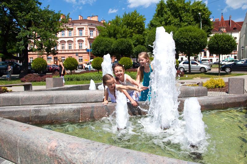 Z prognozy demograficznej Głównego Urzędu Statystycznego dla powiatów i miast na prawach powiatu oraz podregionów na lata 2014-2050, wynika że w ciągu najbliższych 35