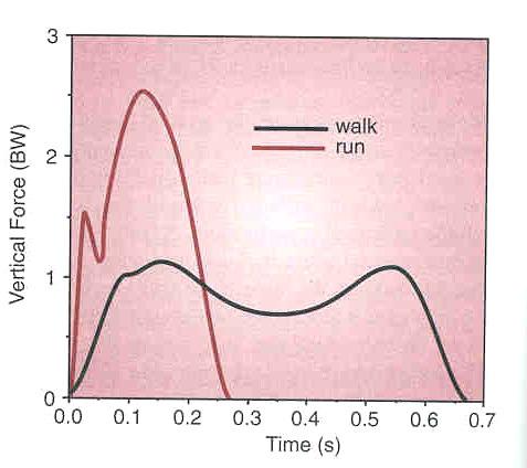 GRF dla chodu i biegu ależność siły max od prędkości