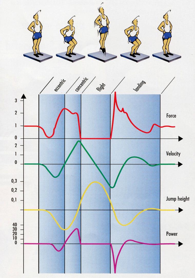 Acceleration (m s -2 ) Wyjaśnienie charakterystyki F z = > < W a z = anegative z positive = 0g A C D a = F Q m B Time (s) E ABCDE Praca SIŁA A REAKCJI W