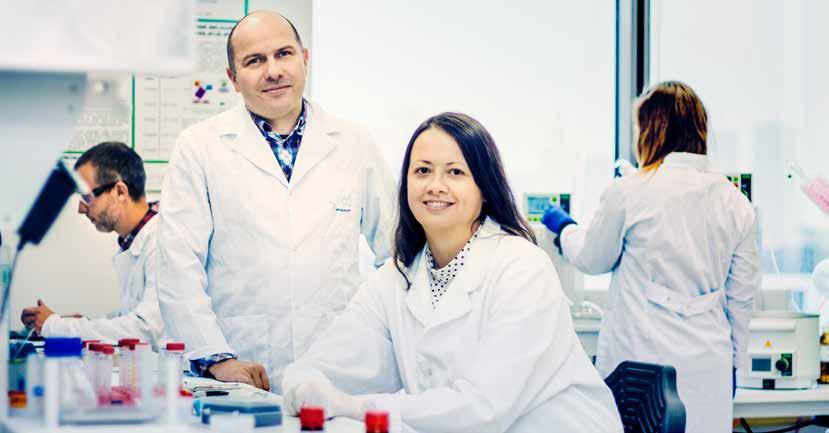Występujące w komórkach różnorakie cząsteczki mrna spełniają rolę przepisów na produkcję konkretnych białek.