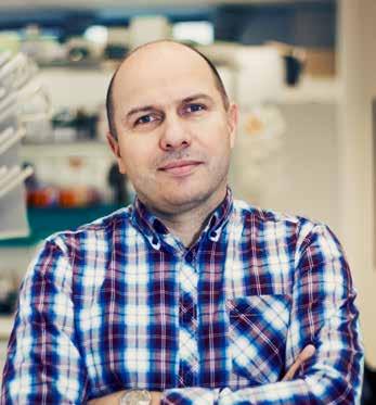 Współtwórcy wynalazków beta S-ARCA beta B-ARCA Trwałe i efektywne mrna prof. UW, dr hab.