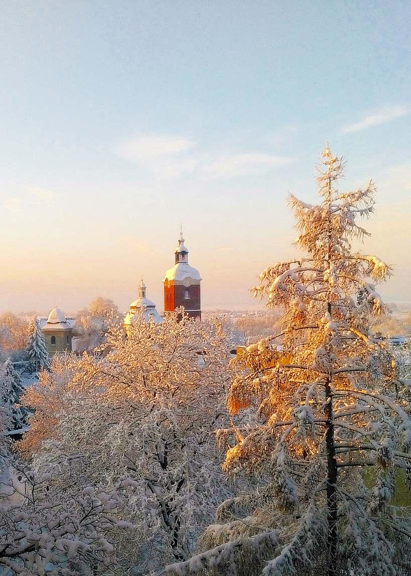 Egzemplarz bezpłatny Nr
