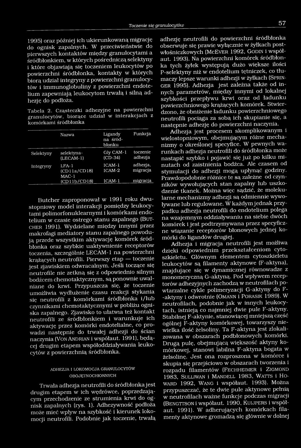 biorą udział integryny z powierzchni granulocytów i immunoglobuliny z powierzchni endotelium zapewniają leukocytom trwałą i silną adhezję do podłoża. T a b e la 2.