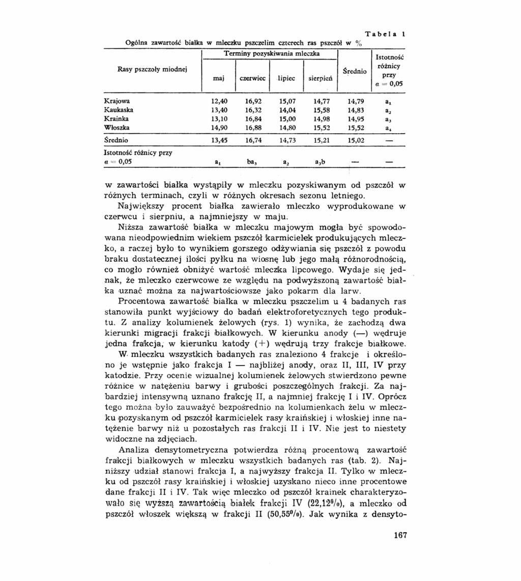 Tabela Ogólna zawartość białka w mleczku pszczelim czterech ras pszczół VI % Rasy pszczoły miodnej Terminy pozyskiwania mleczka maj czerwiec lipiec sierpień Średnio l Istotność różnicy przy Q.