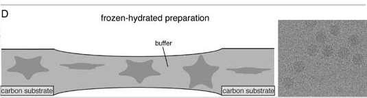 Cryo-EM