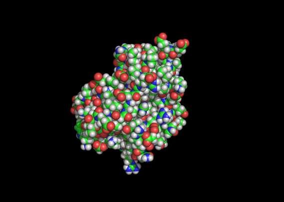 ~1000 atomów