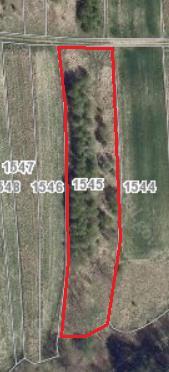 Działka nr 1545 posiada regularny kształt, około 23m. Teren nachylony. Działka naturalnie porośnięta trawą i samosiejkami drzew i krzewów. Działka nr 1560 posiada regularny kształt, około 13,5m.
