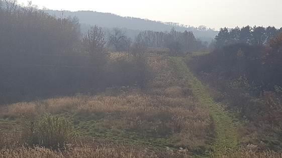 Działka