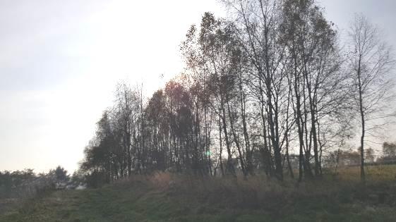 Działka