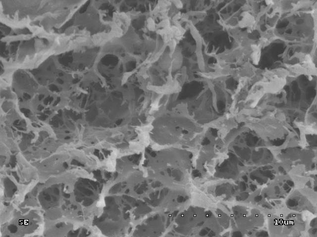 . SEM photo of CH-PVA bead surface Stanowisko doświadczalne Badania prowadzono w temperaturze 5 C w dwóch układach: statycznym i dynamicznym w kolumnie.