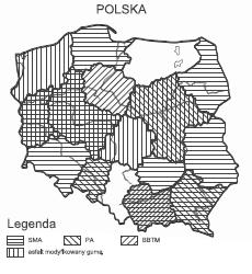 Nawierzchnie asfaltowe obniżające hałas Które rozwiązanie preferować SMA-LA? PA? / PA dwuwarstwowa? BBTM? Zgodnie guma z literaturą w mma?