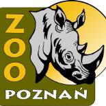 Przykładowe usługi