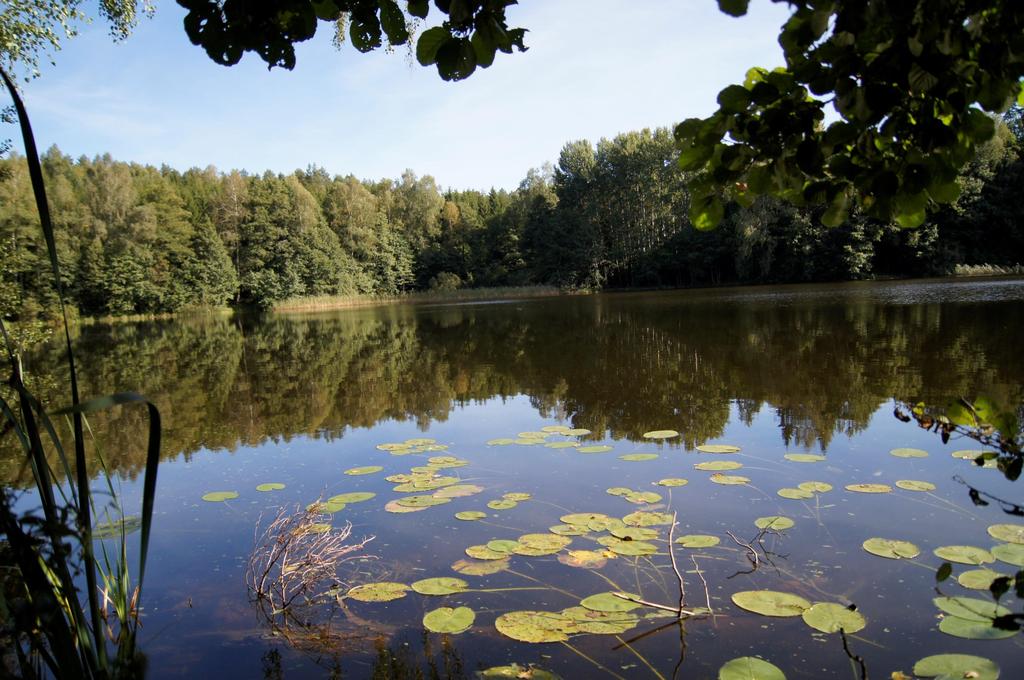 Jezioro Makulin położone blisko wsi Kochanówka wraz z otaczającym je
