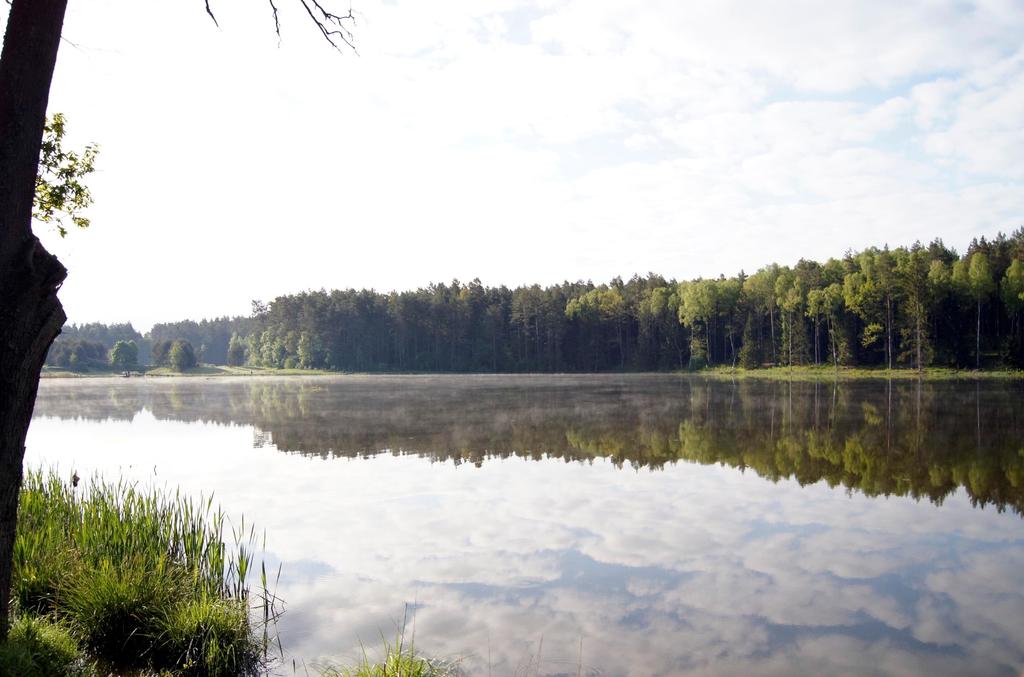 Zbiornik wodny Babcia powstał w 2006 r.