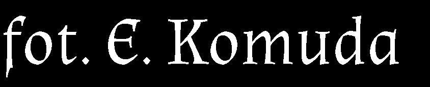 a koalicją rosyjsko-pruską.
