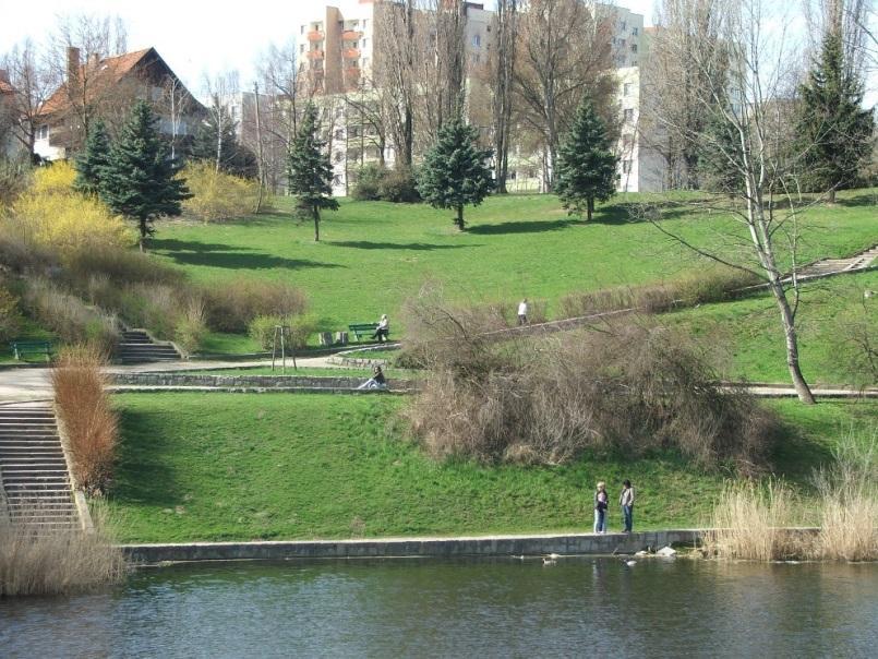 Staw Brodowski