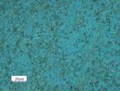 Micrographs of surfaces of the B 4 C sintered bodies with different amounts of carbon: