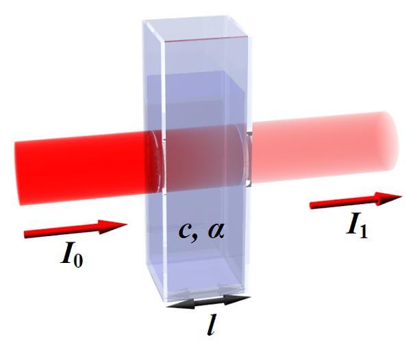 Pomiar absorbancji Prawo Lamberta Beera: I 1 = I 0 * e