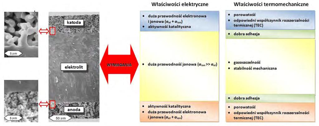 perkolacyjne dla transportu jonów i elektronów oraz porowatość umożliwiająca dyfuzję paliwa, jest zdecydowanie krótszy. W literaturze określa się go mianem tzw. grubości aktywnej (ang.