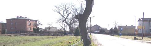 Czułowa i Wartogłowca).