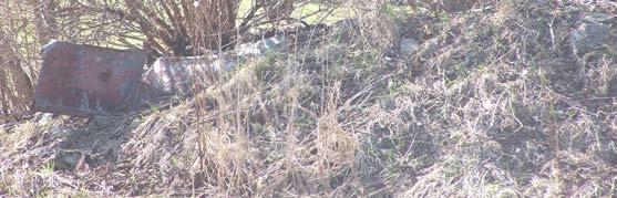 W trakcie bezpośredniej wizji terenowej przeprowadzonej w marcu 2011 roku zinwentaryzowano tutaj pospolite gatunki polne, agrocenozy.