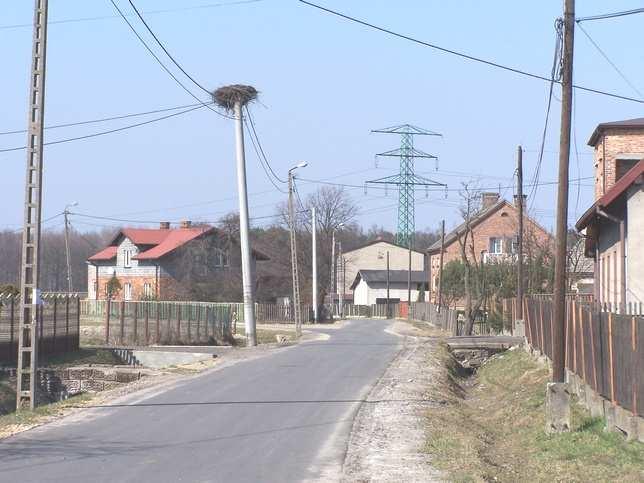 Na obrzeżach terenu, w rejonie ulicy Jaroszowickiej i Długiej, zinwentaryzowano kilka gniazd ptasich, w tym jedno gniazdo bociana.