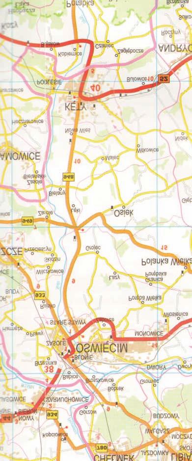 Staw Foryœka Torfowisko Sosnowiec - Bory PLH 240038 22