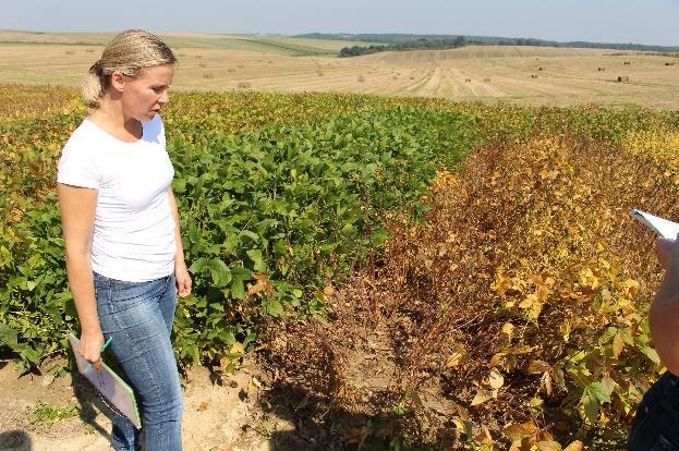 RGD Dłoń, DANKO HR Modzurów i Laski Testowanie: 65