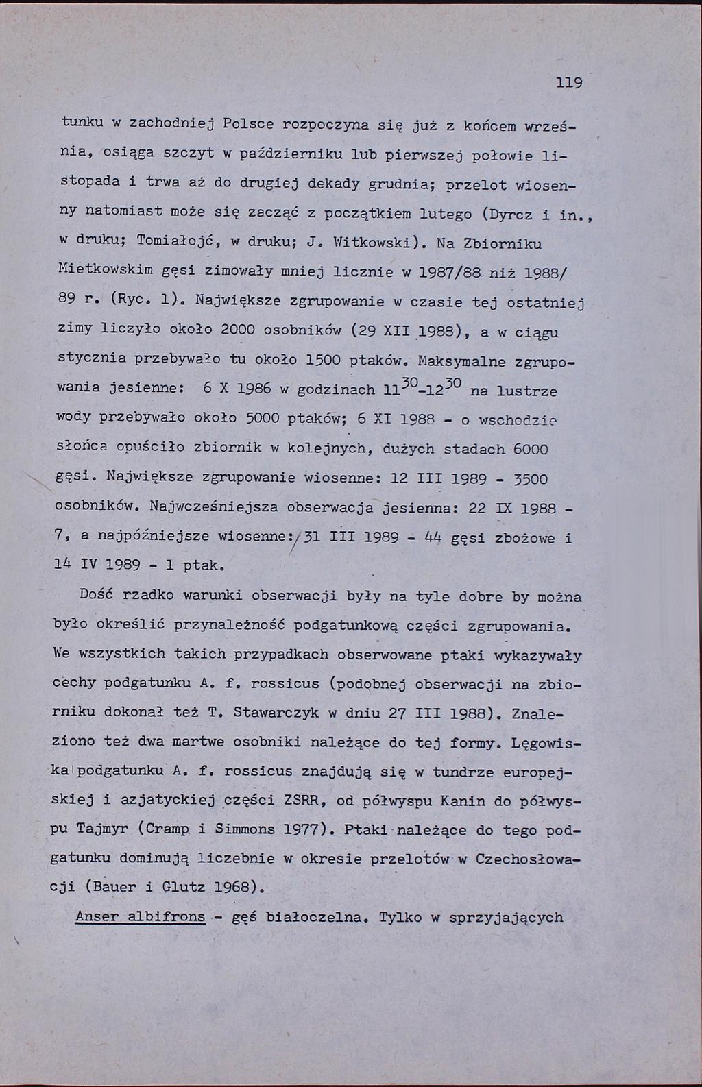 119 tunku w zachodniej Polsce rozpoczyna się już z końcem września, osiąga szczyt w październiku lub pierwszej połowie listopada i trwa aż do drugiej dekady grudnia; przelot wiosenny natomiast może