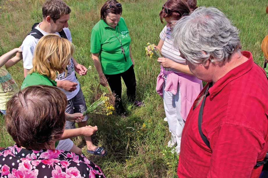 Projekty realizowane na terenie Związku Stowarzyszeń Partnerstwo Zalewu Zegrzyńskiego Apteka z natury Jak rozpoznawać zioła, a następnie je zbierać, suszyć, w jakich dolegliwościach stosować to