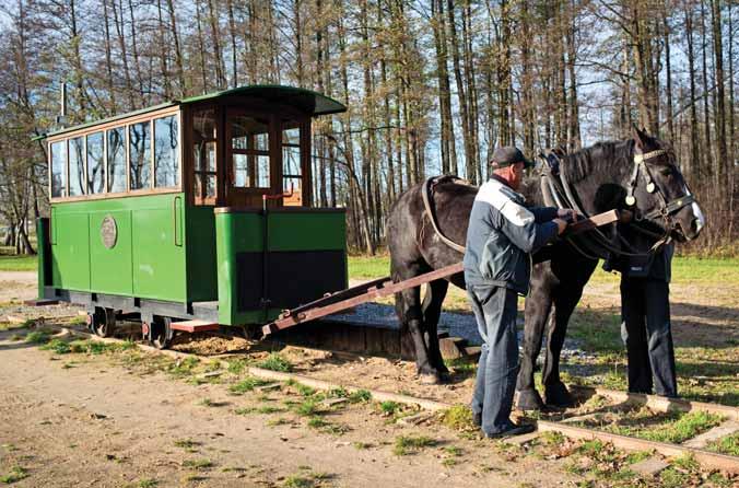 Projekt: Remont kolejki tramwaju konnego Mrozy Sanatorium Rudka Beneficjent: Gmina Mrozy Działanie: 413-313 Wdrażanie lokalnych strategii rozwoju (Odnowa i rozwój wsi) Wartość projektu: ok. 459,9 tys.