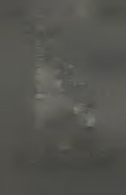 kamienna biała (Z2 + Z1), 2 - anhydryt (Z3), 3-80le magnezowopotasowe (Z3), 4 -