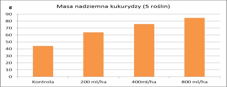 porównaniu do kontroli (rys. 1). Pomiary roślin wykonane 30.06.