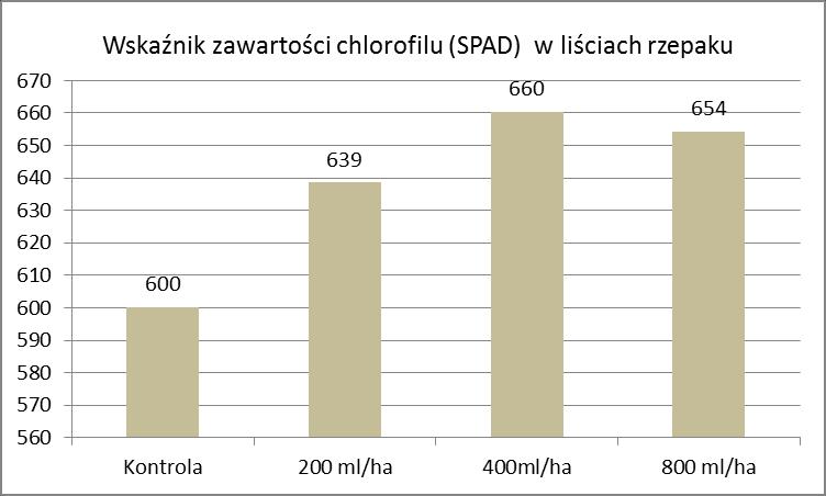 Rys. 1. Pośredni wskaźnik zawartości chlorofilu w liściach rzepaku (średnie z 3 pomiarów) Zastosowanie preparatu Total Humus wpływało na zmiany wskaźnika SPAD (rys.