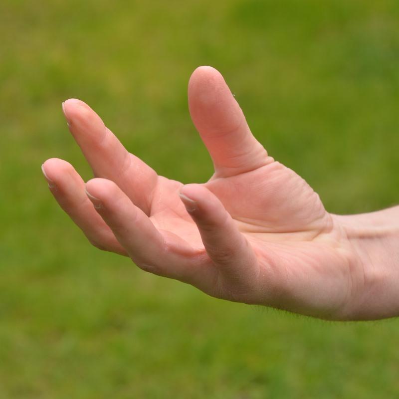 Gest polega na wysunieciu przed siebie rozłożonej dłoni z rozszerzonymi palcami i kiwaniu jej wokół osi wzdłużnej ramienia.