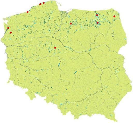 Największe jeziora w Polsce Gardno Łebsko Jamno Dąbie Mamry Jeziorak