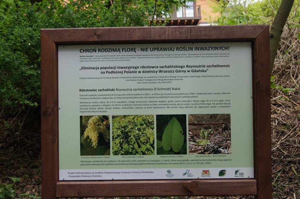 ustawione na Podleśnej