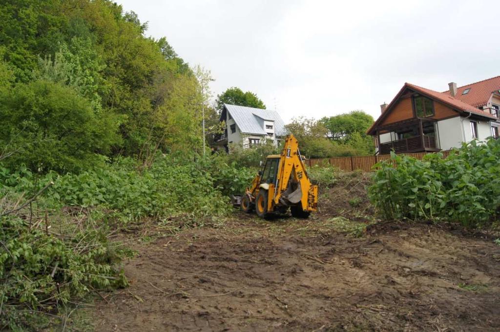 projektu usuwanie pędów