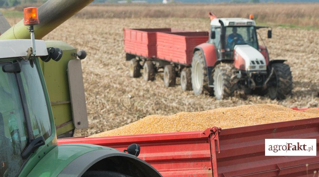 .pl https://www..pl Zbiory pszenicy są szacowane na 10,4 mln t, ale globalna produkcja tego zboża może ukształtować się na poziomie zbliżonym do rekordowego ubiegłorocznego lub nawet go przewyższyć.