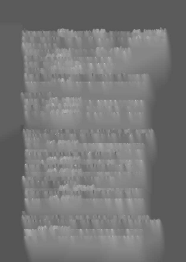 II. _.. 1. Dom o powierzchni:.4j5. f 11m 2, o wartości:.~!o:.&oy.. tytuł prawny:.akf.. ij.tfjs.tv05.u. 2. Mieszkanie o powierzchni: m", o wartości: tytuł prawny: sui: OPTYC.2..i... J Gospodarstwo rolne: rodzaj gospodarstwa:~.
