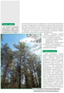 Hodowla lasu Tadeusz ZACHARA Instytut Badawczy Leśnictwa